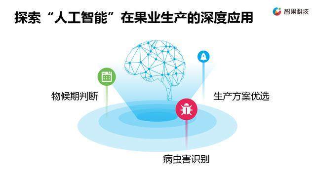 鄉村振興，科技賦能 新一代農業信息技術企業的軟件戰略